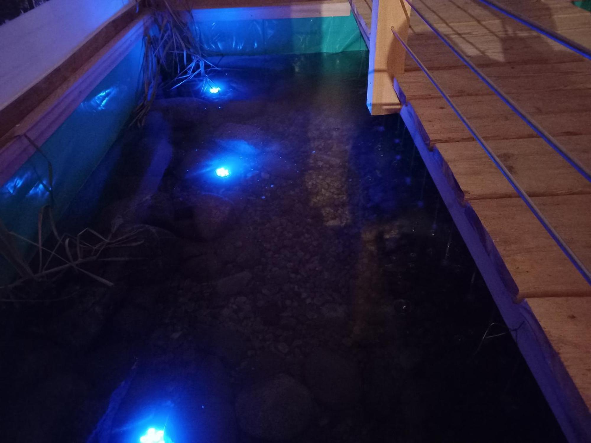 Apartament Dom Piotra Goniądz Zewnętrze zdjęcie